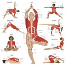 Science of Yoga